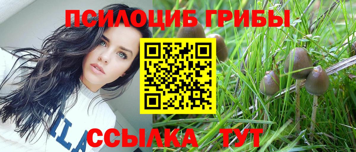Галлюциногенные грибы Cubensis  Вход с VPN  цена   Шелехов 